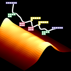 Oscillations de symétrie dans des mélanges de gaz quantiques